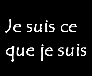 mes paroles